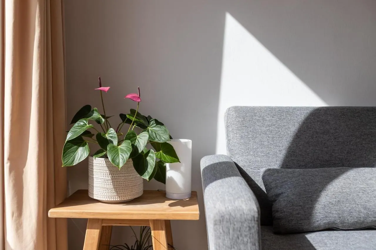 Calmahouse (Adults Only) Apartman Torremolinos